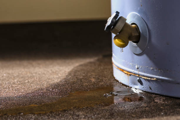Best 24/7 water damage repair  in Edgemere, MD