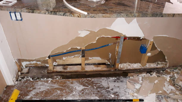 Best Carpet water damage restoration  in Edgemere, MD