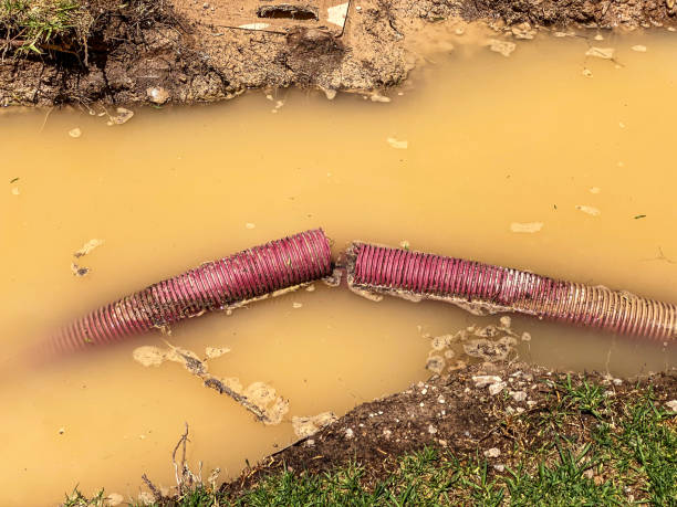 Edgemere, MD Water damage restoration Company